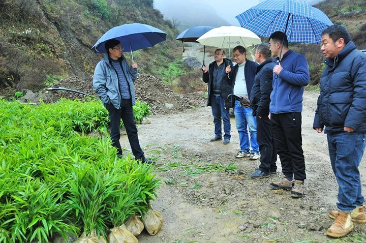 集团党委副书记、总经理高建嵩一行深入乡村振兴挂钩帮扶点寿山镇调研